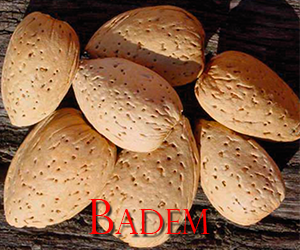 badem